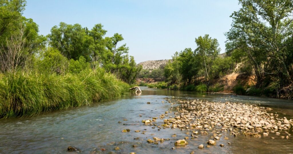 How Coca-Cola, Google, and REI teamed up to protect Arizona's Verde River